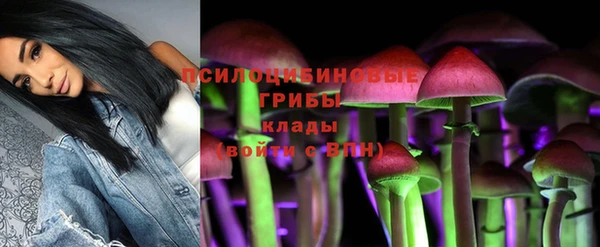 метадон Богородицк