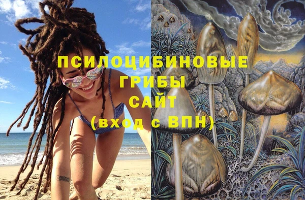 гашишное масло Богданович