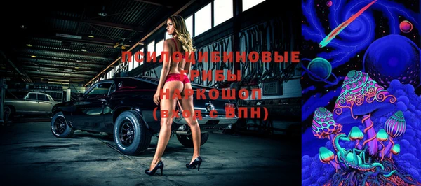 прущий лед Богородск
