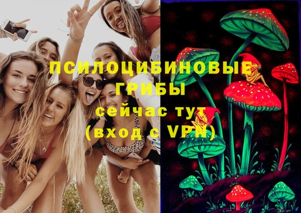 метадон Богородицк