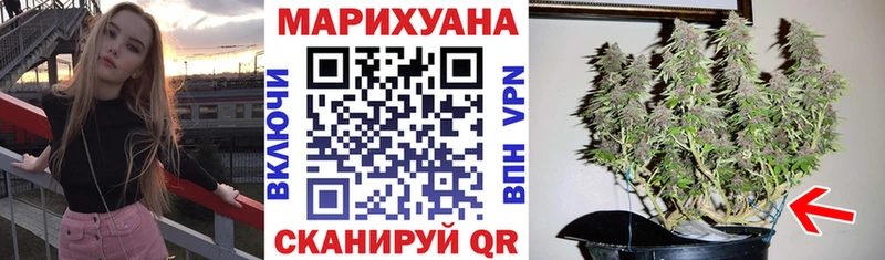 Купить где  Протвино  МАРИХУАНА LSD WEED 
